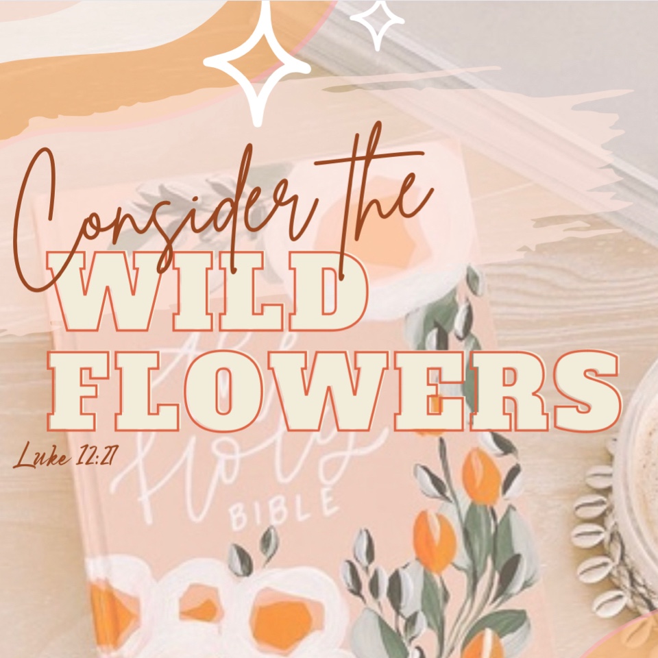 Consider the Wildflowers